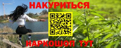 шишки Аргун