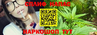 шишки Аргун