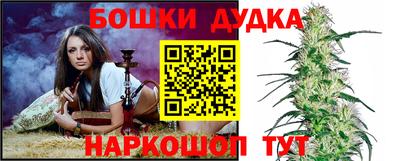 шишки Аргун