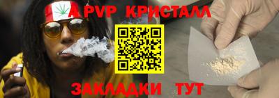 шишки Аргун