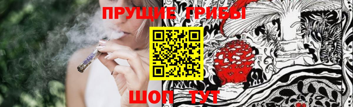 Псилоцибиновые грибы Cubensis  Вход с VPN  Аша 